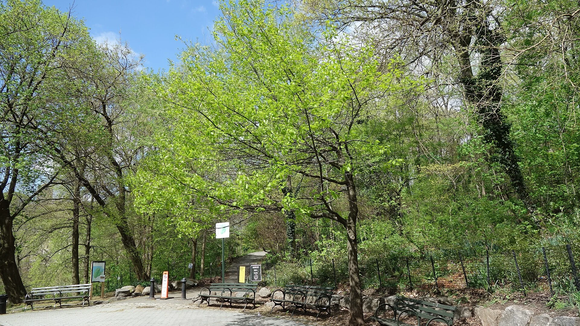 Inwood, Manhattan neighborhood view